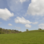 Open space being preserved and conserved in Evesham Township